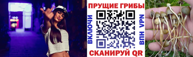 Галлюциногенные грибы мухоморы  Купить закладки  Мезень 