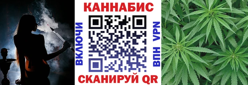 Канабис конопля Мезень